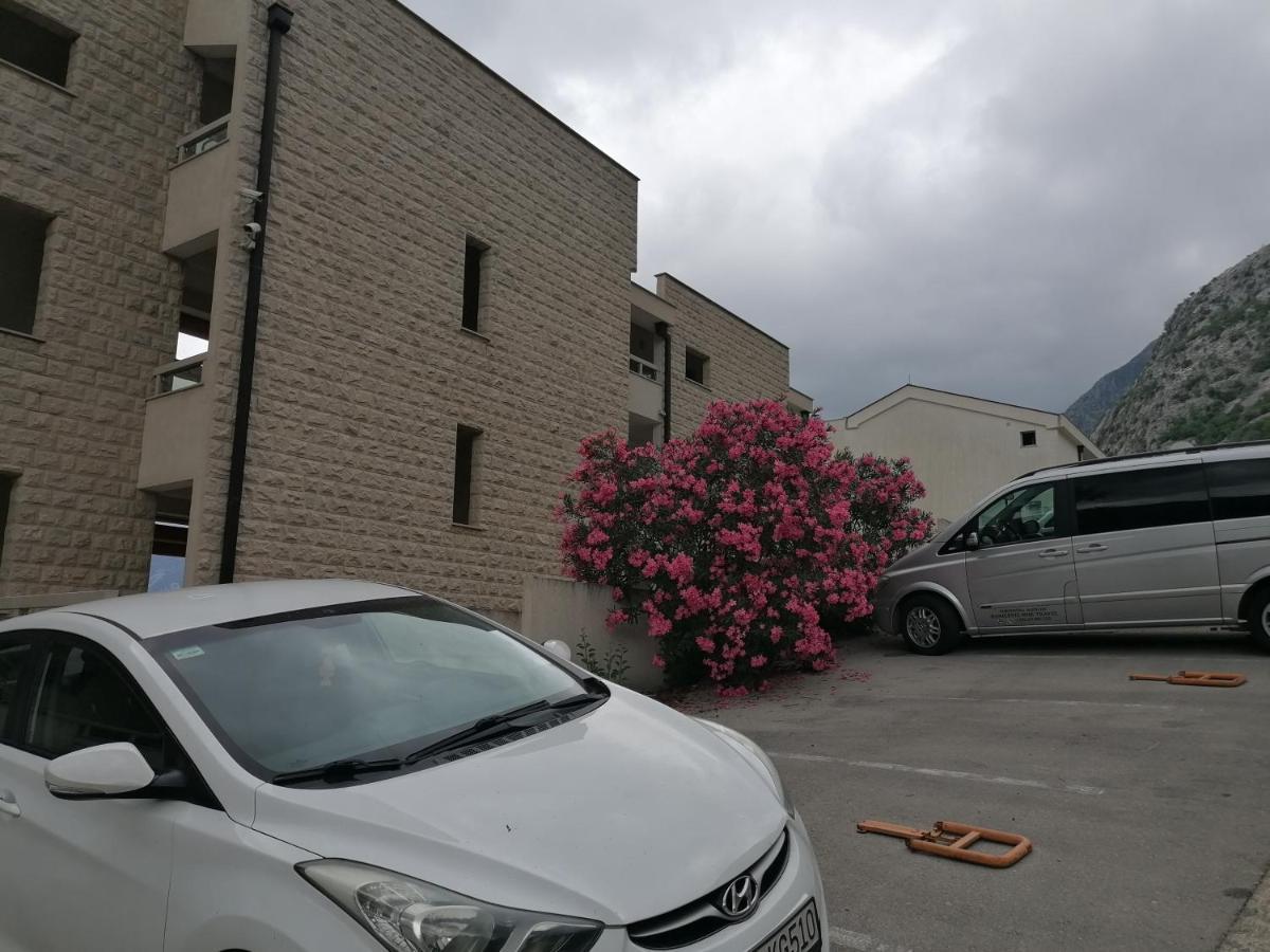 Villa Milla Kotor Dış mekan fotoğraf